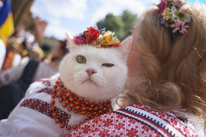 Украина празднует День вышиванки в карантин: когда ты впервые надел вышиванку, Вова?