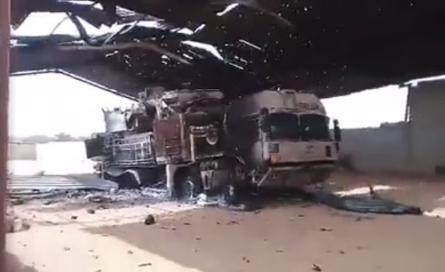 О панцирной ботанике