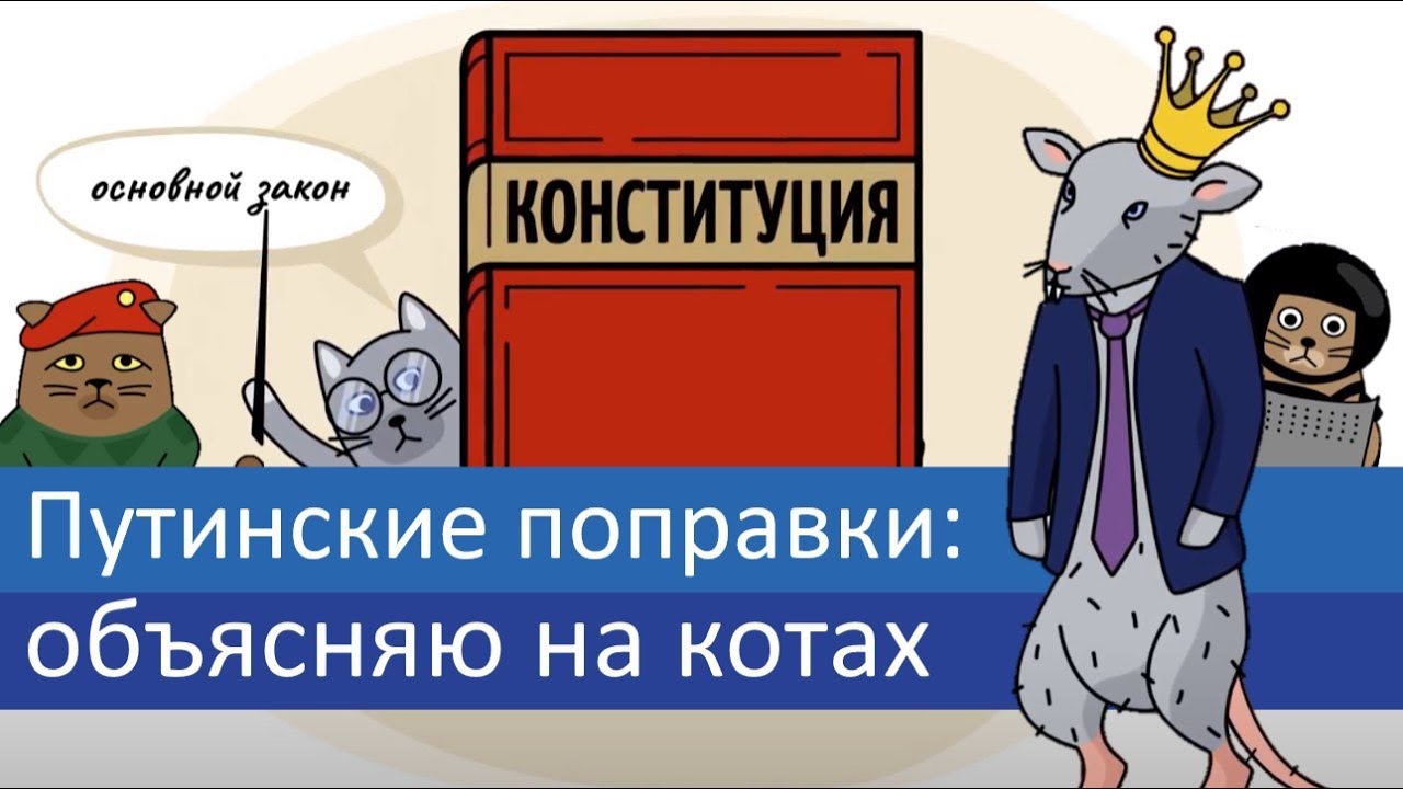 Путинские поправки: объясняю на котах (Видео)