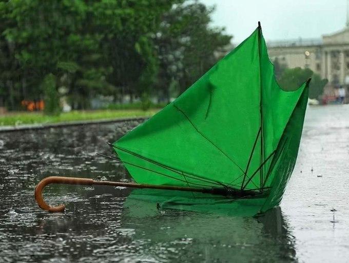 Пора линять из партии: появилась мощная фотожаба на провал "Слуги народа" на выборах