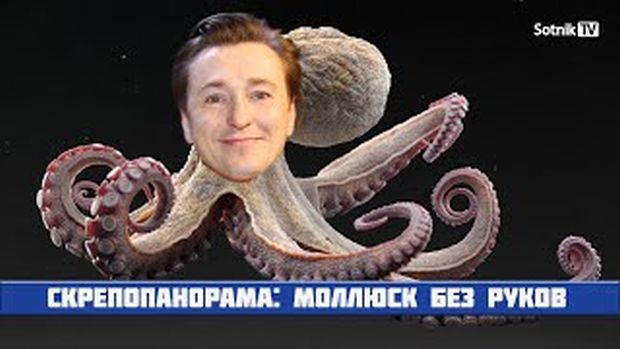 СКРЕПОПАНОРАМА: МОЛЛЮСК БЕЗ РУКОВ