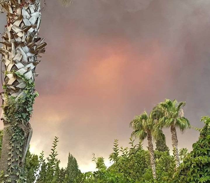 В Турции лесные пожары добрались до гостиниц и жилых домов: видео