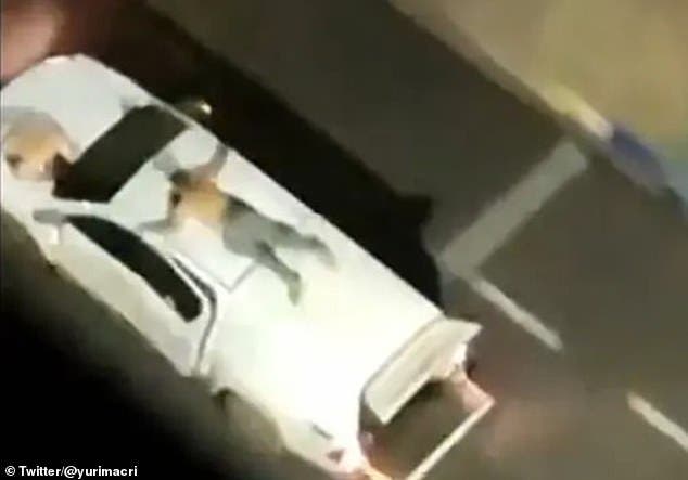 В Бразилии грабители банков привязали заложников к машинам, чтобы скрыться от полиции
