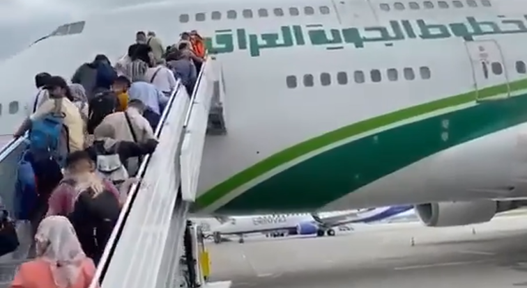 Полная ясность