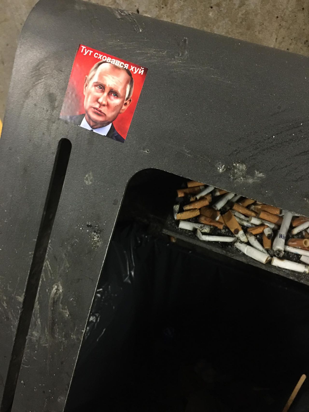 Прекрасная Зона Племен Будущего