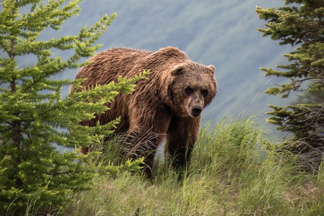 Дичь из лепрозория (Часть 3)