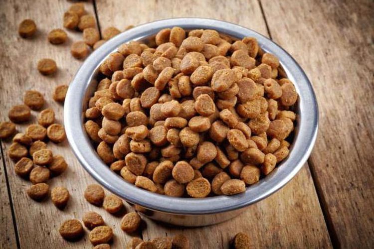 Российские оккупанты разграбили склады супермаркета и ели кошачий корм. ВИДЕО