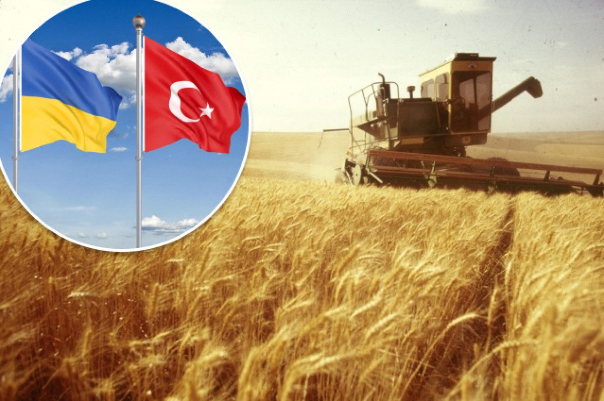 Турция покупает у России ворованное украинское зерно (Видео)