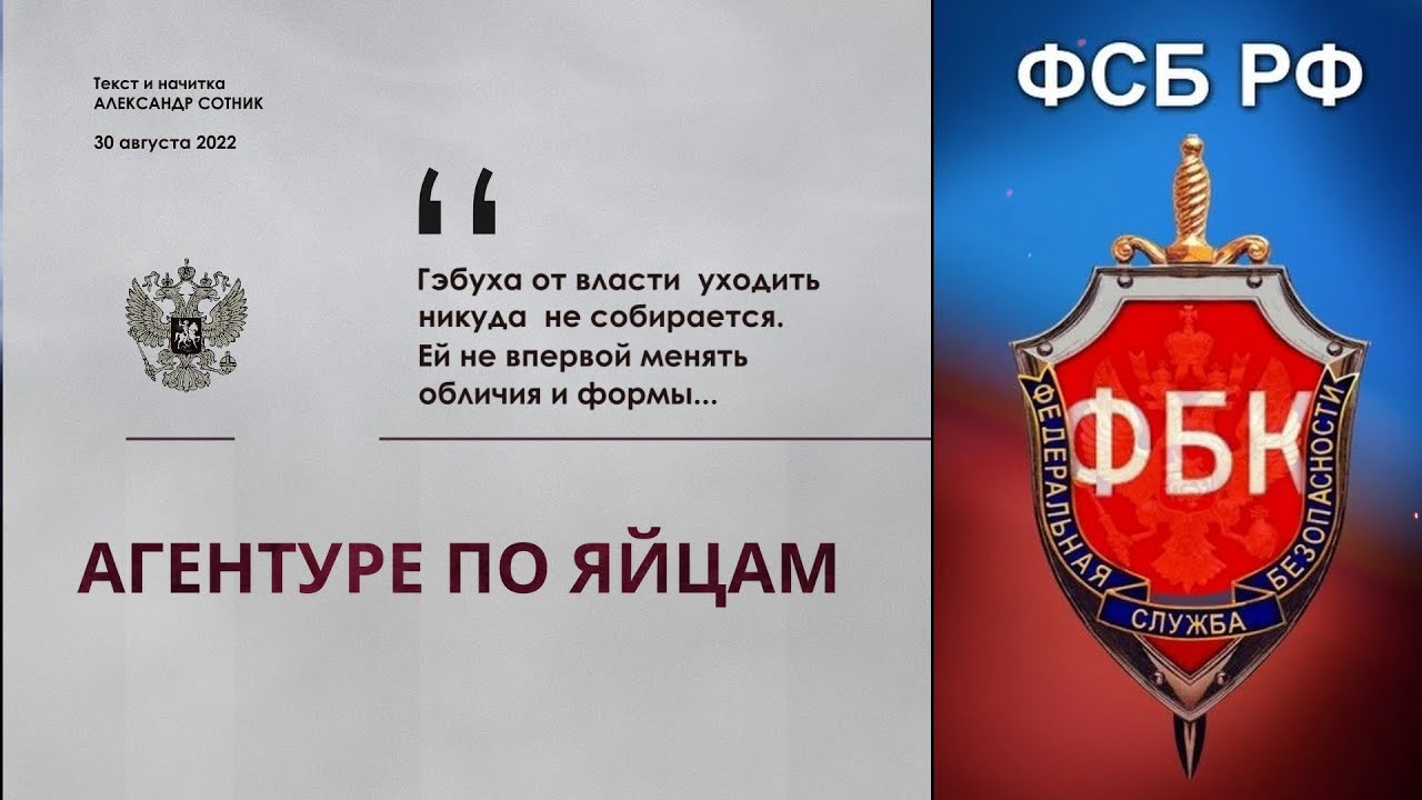 АГЕНТУРЕ ПО ЯЙЦАМ