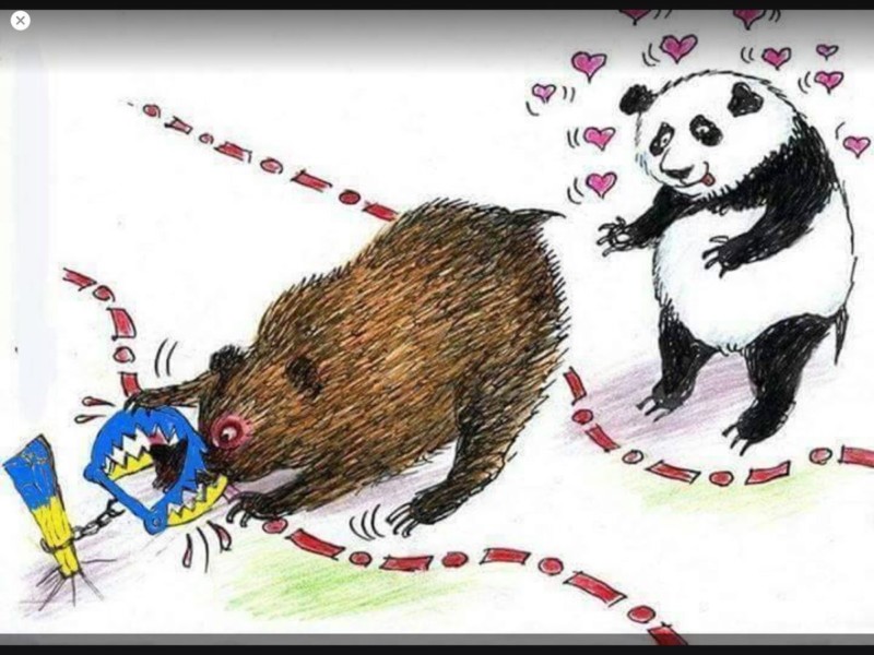 «Добавил Фу…»