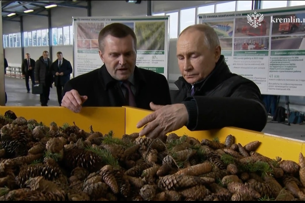 «Шишки собирает и в карман кладёт…»