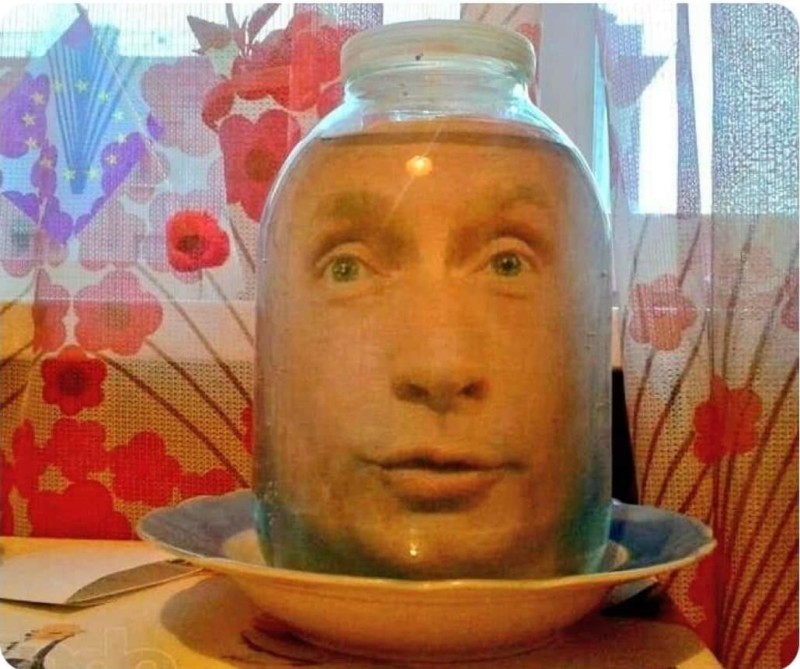 Путин — это голова