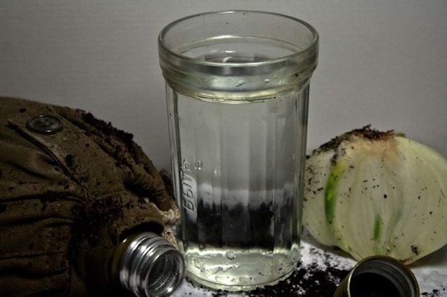 Вечер у соловья и его помета