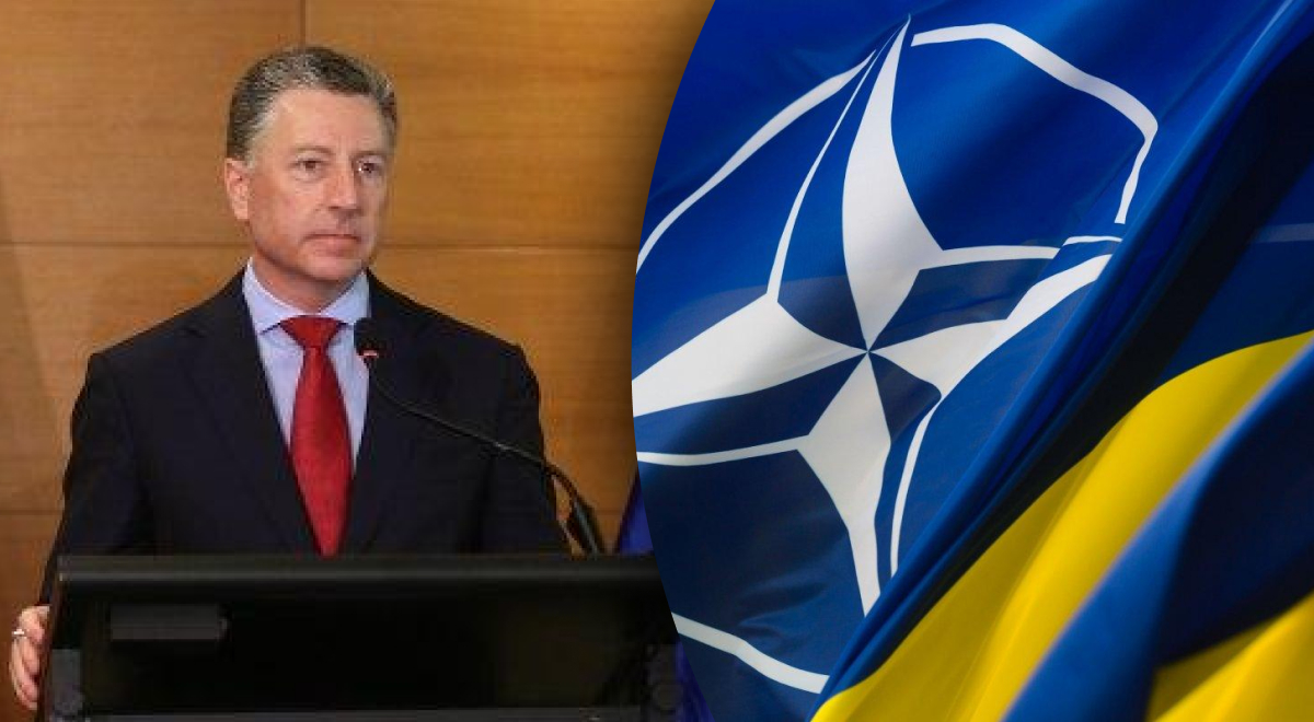 Волкер: Украину пригласят вступить в НАТО на саммите в 2024 году
