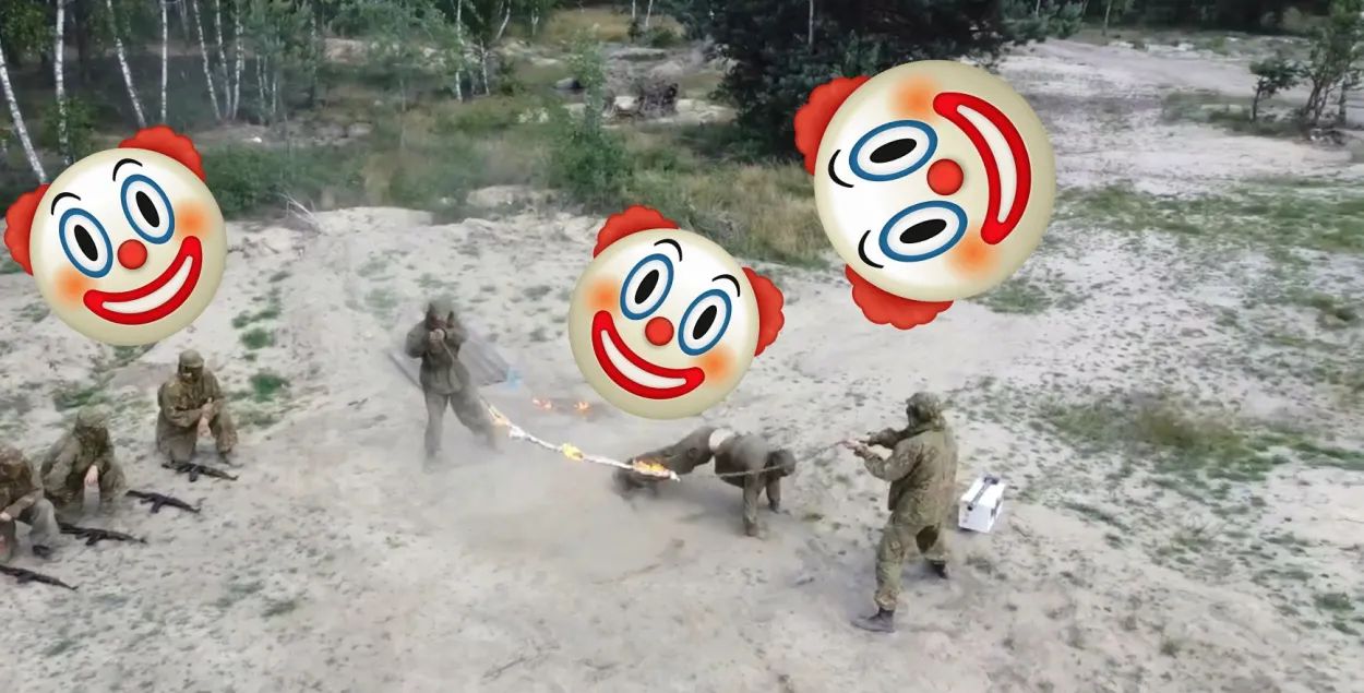 Из жизни альфа-песца (Часть 1)