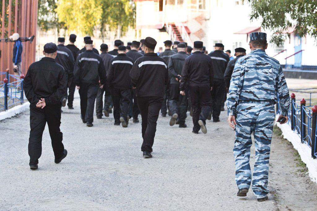 Отмашка на террор: Россию накрыла новая волна преступлений "освободителей"