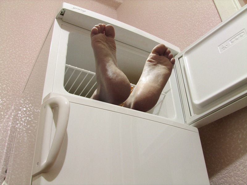 Дуэт из морозилки