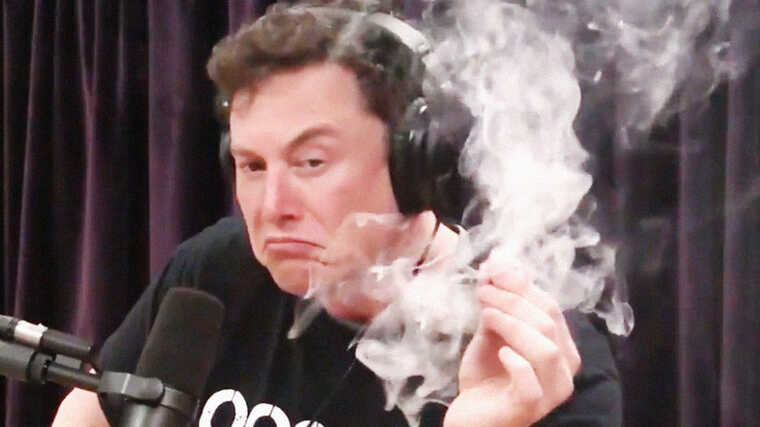 История с наркотиками и Илоном Маском получила продолжение: подозрение упало на топ-менеджеров его компаний