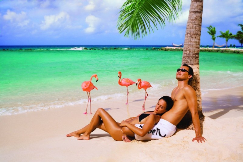 “Едем на Карибы!”