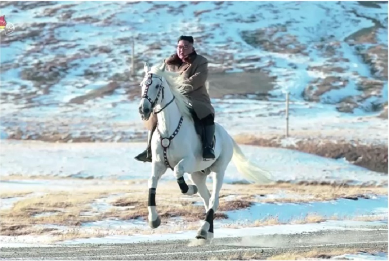 Две проблемы диктатора (Часть 1)