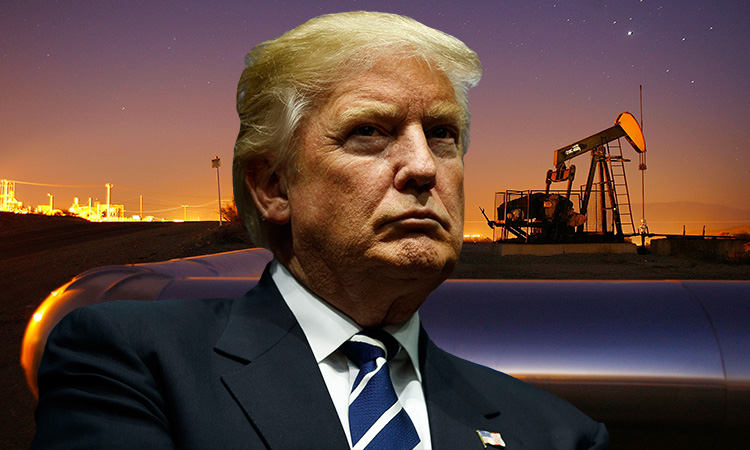 Трамп обещает давить на Саудовскую Аравию, чтобы снизить цену на нефть для прекращения войны в Украине